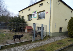 Schronisko dla bezdomnych zwierząt w Radomsku